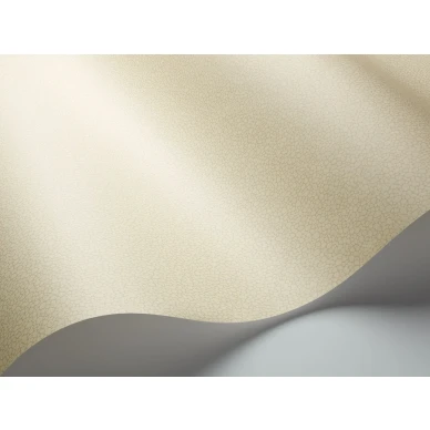 Kermanvalkoinen yksivarinen tapetti Pebble Cole et Sonilta 106 2023 image