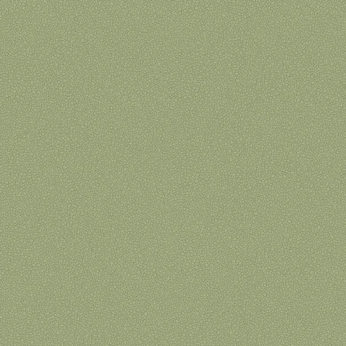 Pebble oliivinvihrea yksivarinen tapetti Cole et Sonilta 106 2026 image