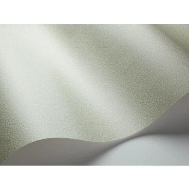 Vihrea yksivarinen tapetti Pebble Cole et Sonilta 106 2027 image