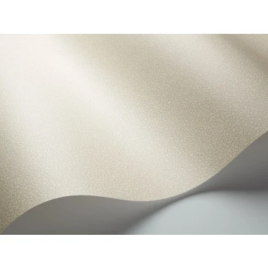 Yksivarinen beige tapetti Pebble Cole et Sonilta 106 2022 image