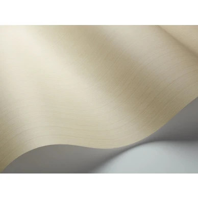 Beige tapetti Jaspe Cole et Sonilta 106 3042 kuva