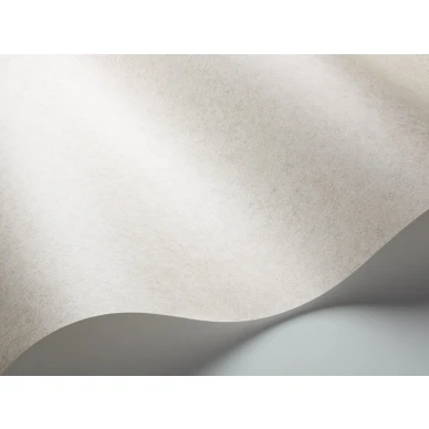 Beige tapetti Cole et Sonilta Cordovan 106 4052 kuva
