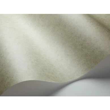 Oliivinvihrea tapetti Cole et Sonilta Cordovan 106 4058 kuva