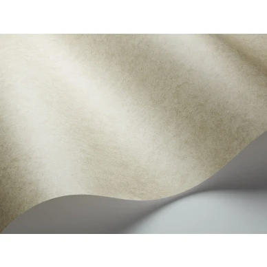 Vihrea tapetti Cole et Sonilta Cordovan 106 4057 kuva