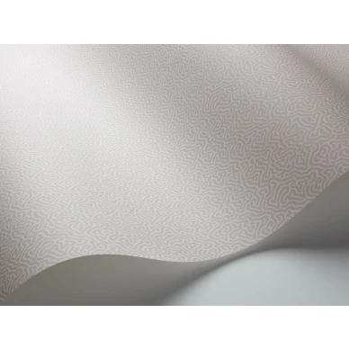 Harmaa tapetti Cole et Sonilta Coral 106 5061 kuva