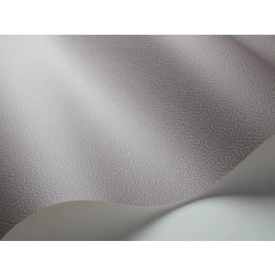 Harmaa tapetti Cole et Sonilta Coral 106 5062 kuva