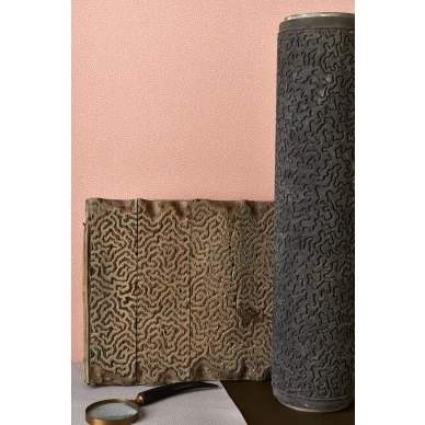 Olohuoneen tapetti Cole et Sonilta korallinvarinen Coral 106 5075 kuva