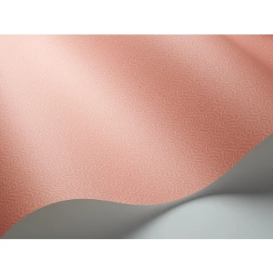 Oranssi tapetti Cole et Sonilta yksivarinen Coral 106 5075 kuva