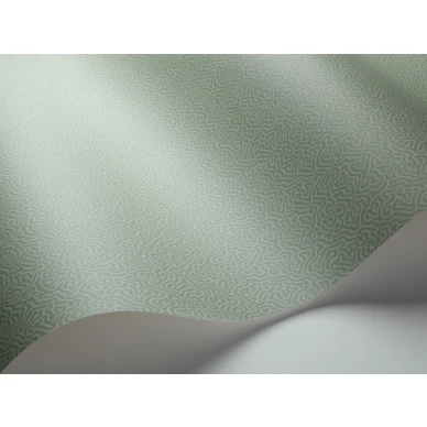 Vihrea tapetti Cole et Sonilta yksivarinen Coral 106 5066 kuva