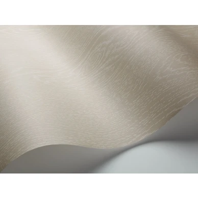 Beige puupaneelitapetti Wood Grain Cole et Sonilta 107 10047 image