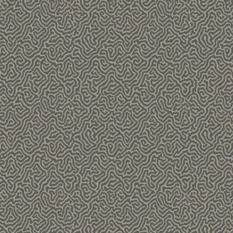 Vermicelli tummanharmaa graafinen tapetti Cole et Sonilta 107 4017 image