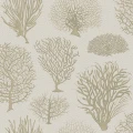 Seafern beige kultainen korallitapetti Cole et Sonilta 107 2010