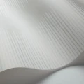Vaaleanharmaa graafinen tapetti Cole et Sonilta Plume 107 3013