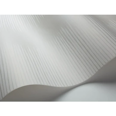 Vaaleanharmaa graafinen tapetti Cole et Sonilta Plume 107 3013 kuva