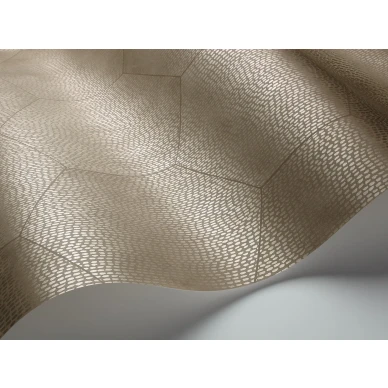 Gilvervarinen geometrinen tapetti Cole et Sonilta Mineral 107 6029 kuva