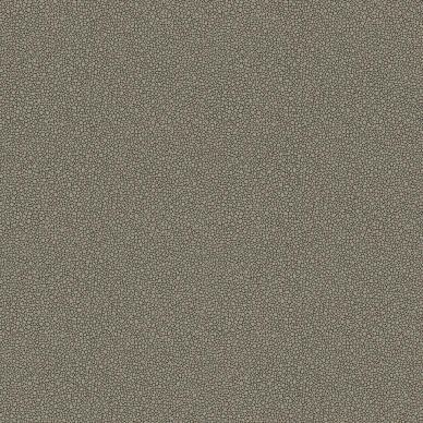 Goldstone tumma hopeatapetti Cole et Sonilta 107 9043 kuva