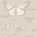 Butterflies Dragonflies harmaa kultainen perhostapetti Cole et Sonilta 103 15064
