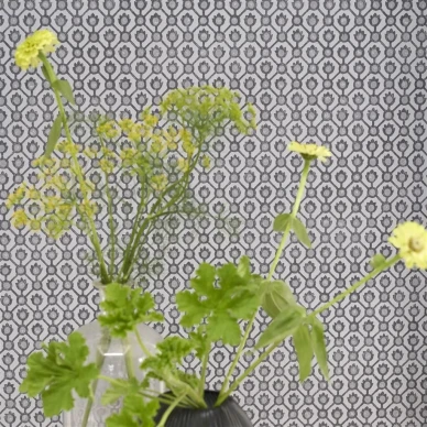 Tummanharmaa pilkullinen tapetti Designers Guildilta Jaal image