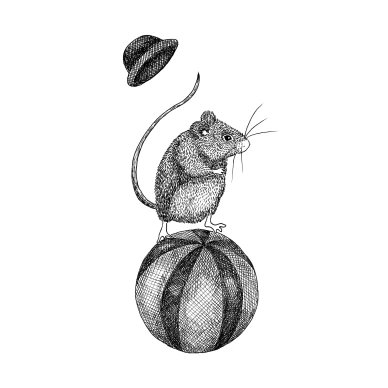 Circus Animal Maximus mustavalkoinen elaintapetti Rebel Wallsilta R18201 koko kuvio kuva