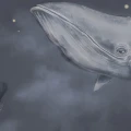 Hauska tapetti lapsille Whales In The Sky Borastapeterilta 9458w