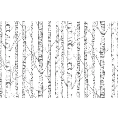 Tree mustavalkoinen puutapetti Borastapeterilta 9451w koko kuvio image