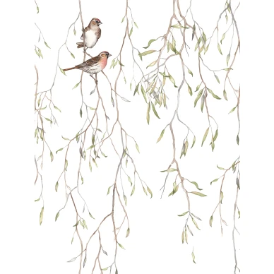 Borastapeterin vaalea lintutapetti Spring Birds 9447w image