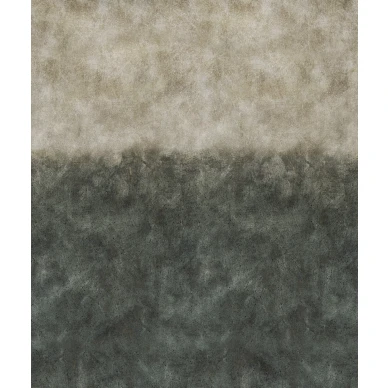 Borastapetin muraltapetti Ombre Concrete harmaa beige betonikuvio 9435w image