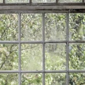 Greenhouse rohkea ruututapetti Borastapeterilta 9424w
