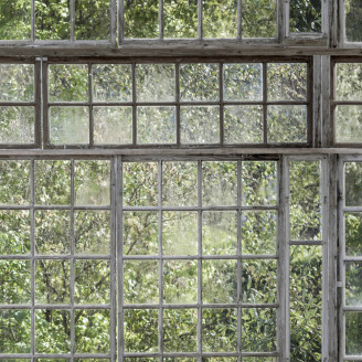 Greenhouse vihrea ikkunatapetti Borastapeterilta 9424w image