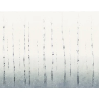 Koivutapetti talvivareina Sundborn Sandbergilta S10178 kuva