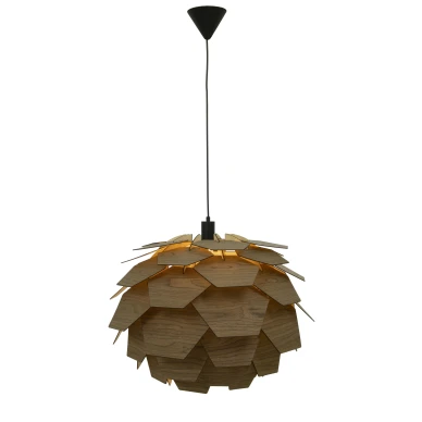 Carpatica ruskea kattovalaisin Anetalta image