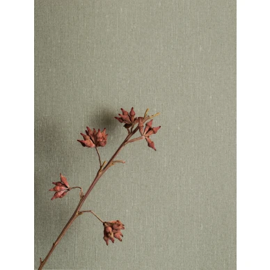 Oliivinvihrea tapetti Borasilta Soft Olive 4335 image