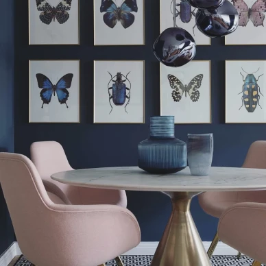 Liljeberg perhosjuliste Papilio Ulysses kuva