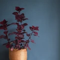 Yksivarinen tapetti tekstiilimaisella pinnalla Lakeview Tactile 902 84 Ulricehamnilta