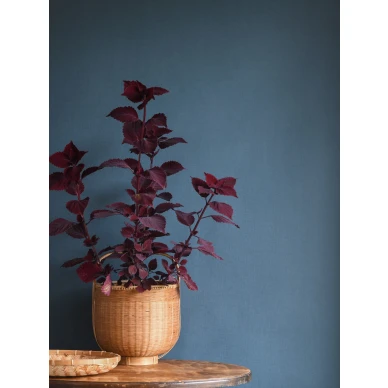 Yksivarinen tapetti tekstiilimaisella pinnalla Lakeview Tactile 902 84 Ulricehamnilta kuva