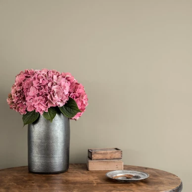 Beige yksivarinen tapetti Lakeview 901 52 Ulricehamnilta image