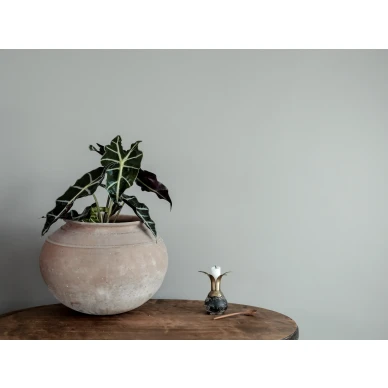 Siniharmaa yksivarinen tapetti Lakeview Ulricehamnilta 901 44 image