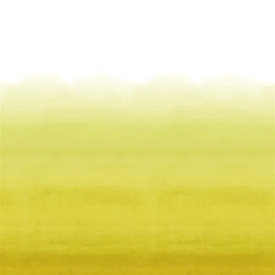 Shoshi keltainen ombretapetti Designers Guildilta PDG1163 07 image