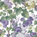 Floribunda liila kukkatapetti 1838 Wallcoveringsilta 2311 168 01