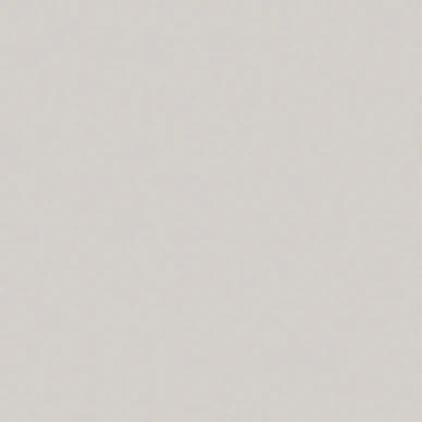 Seal Grey Boras Pigment 7542 image