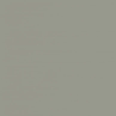 Light Olive Boras Pigment 7558 kuva