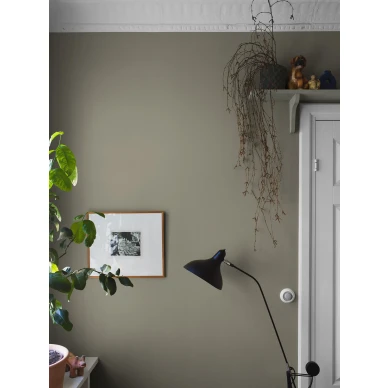 Vaalean vihrea tapetti LightOlive kuva