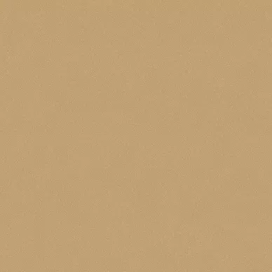 Desert Sand Boras Pigment 7580 image