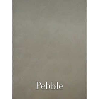 Pebble  image