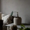 IMG 1651