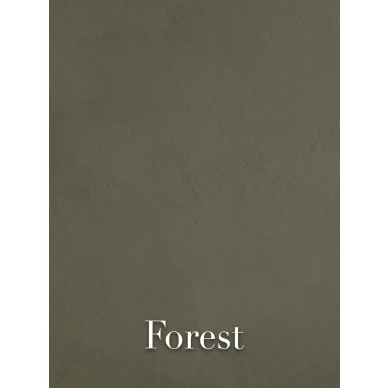 Forest Colours kuva