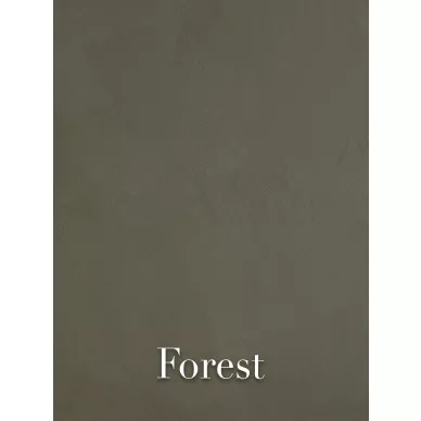 Forest Colours kuva