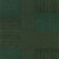 76321630