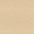 76480304