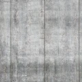 Cropped Image 1